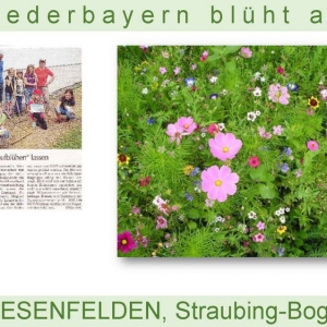 Niederbayern-blüht-2014_Seite_72.jpg