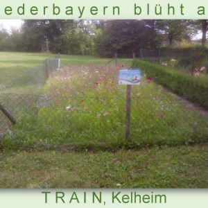 Niederbayern-blüht-2014_Seite_68.jpg