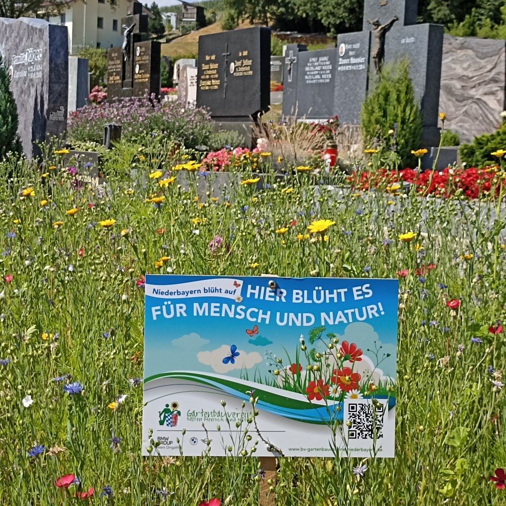 Niederbayern blüht auf